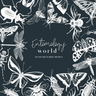 Hand-sketched insect wreath template. Hand drawn beetles, bugs, butterflies, dragonfly, cicada, moths, bee illustrations in vintage style. Entomological frame vector  design.